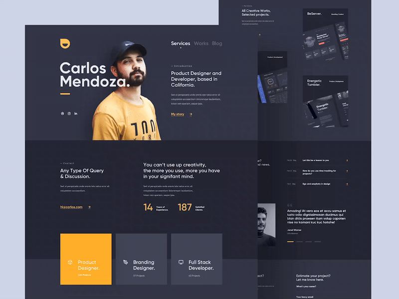 WordPress Web Designer