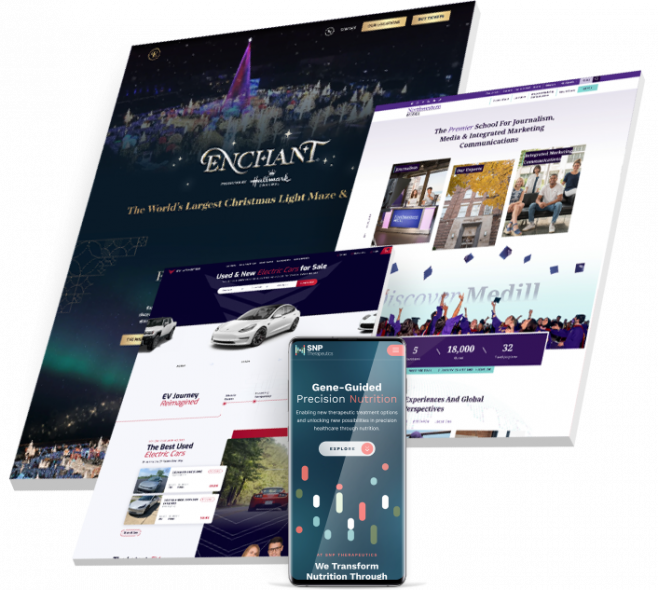 WordPress Web Designer
