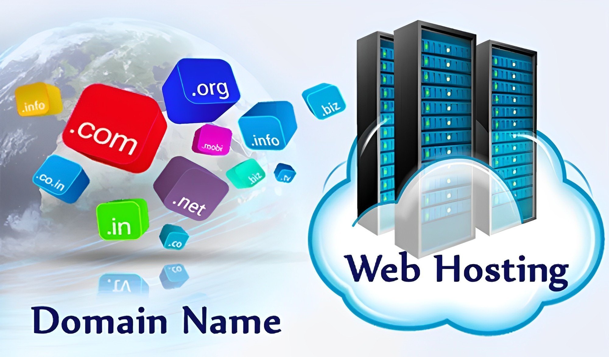 WordPress Web Designer
